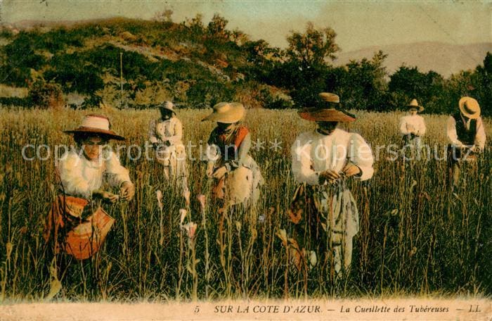 Landwirtschaft L.L. 5 Sur la Cote D´azur – Vorderseite