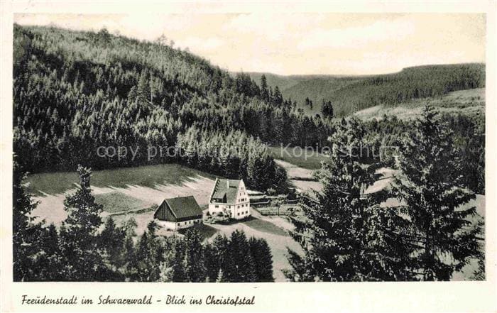 FREUDENSTADT BW Schwarzwald Christofstal Tal Wald Bauernhof Wiesen Nadelwald – Front