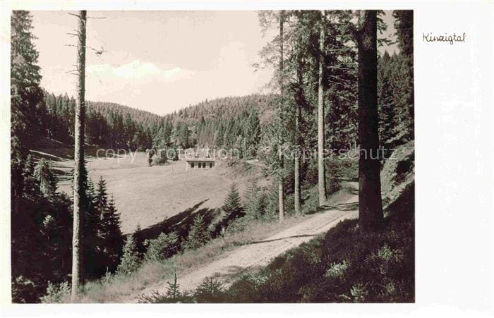 Zwieselberg Freudenstadt BW Kinzigtal Schwarzwald Nadelwald Gasthaus-Auerhahn Fr – Front