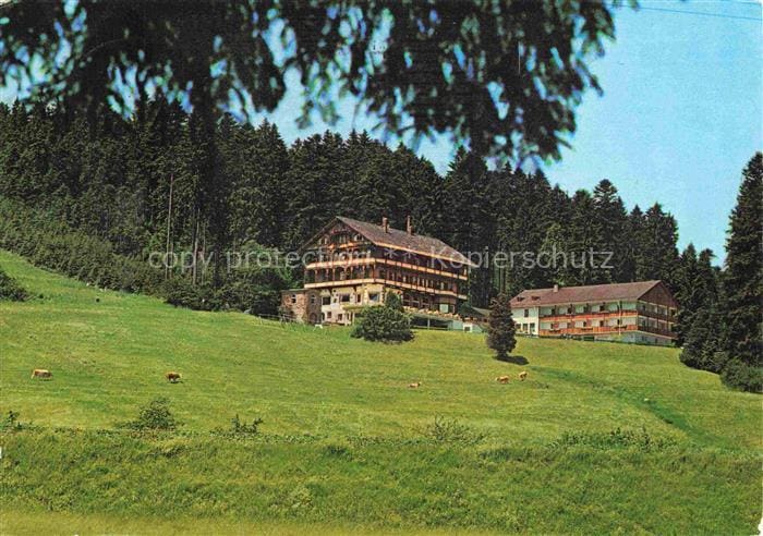 FREUDENSTADT BW Kur-und-Waldhotel-Stokinger Schwarzwald Wiesen Kuehe Nadelwald H – Vorderseite