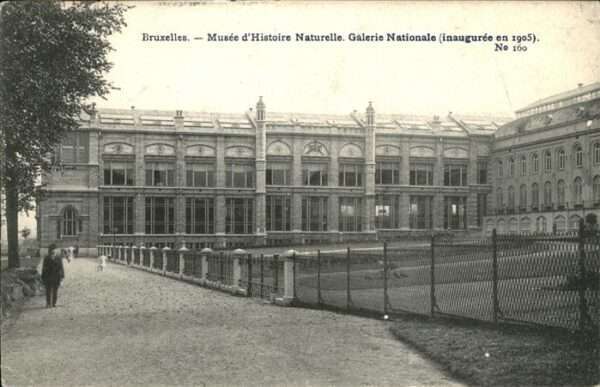 Bruxelles Bruessel Musee d&# Histoire Naturelle Galerie Na
