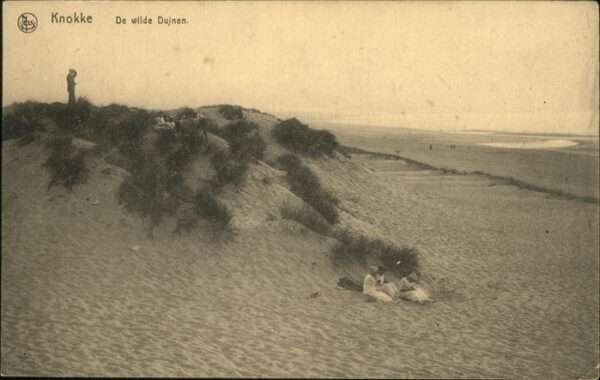Knokke-Heist De wilde Dujnen