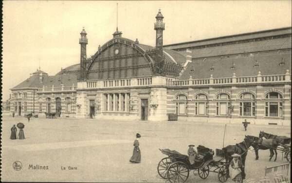 Malines Mechelen Flandre Le Gare Pferdekutschen, Pferde