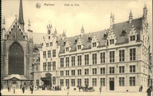 Malines Mechelen Flandre Hotel de Ville Pferdekutsche
