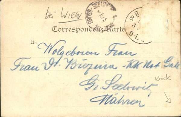 Wien Baden
Ruine Rauhenstein – Bild 2