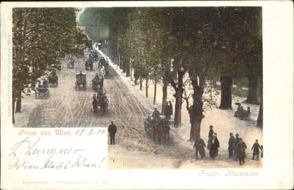 Wien Teilansicht