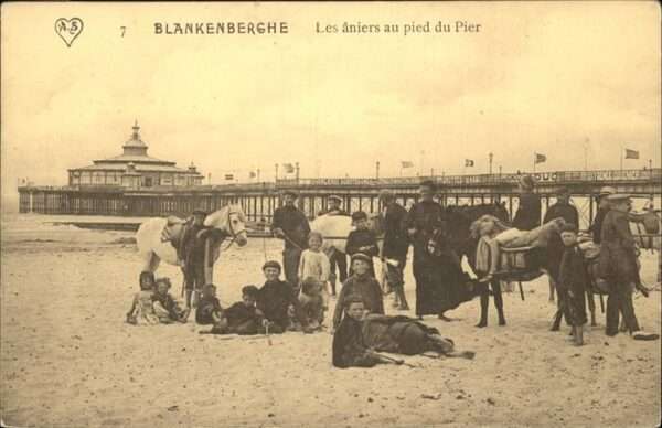 Blankenberghe Les ániers au pied du Pier