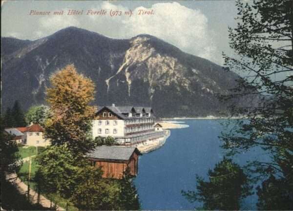 Plansee Hotel Forelle