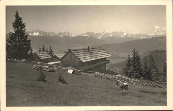 Oesterreich Kuh