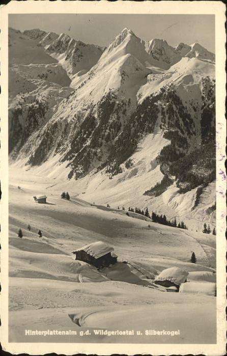 Hinterplattenalm Wildgerlostal Silberkogel