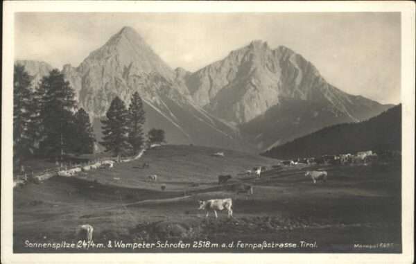 Wampeter Schrofen Sonnenspitze Fernpasstrasse Kühe