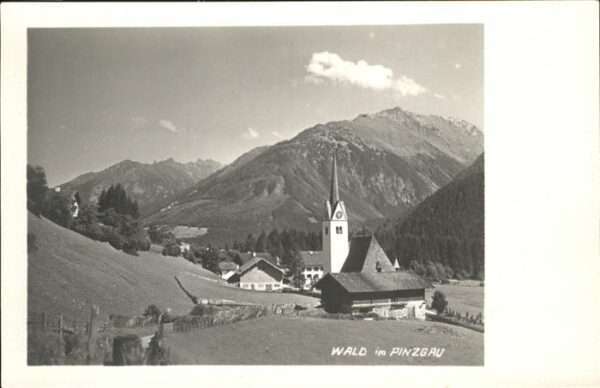 Wald Pinzgau
