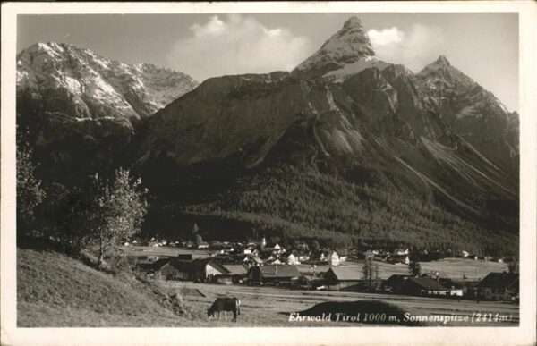 Ehrwald Tirol Sonnenspitze Kühe