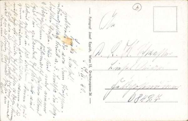 Bruck Leitha – Bild 2