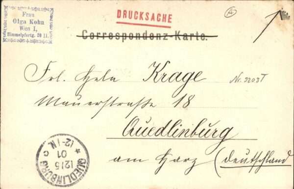 Wien Pferd – Bild 2