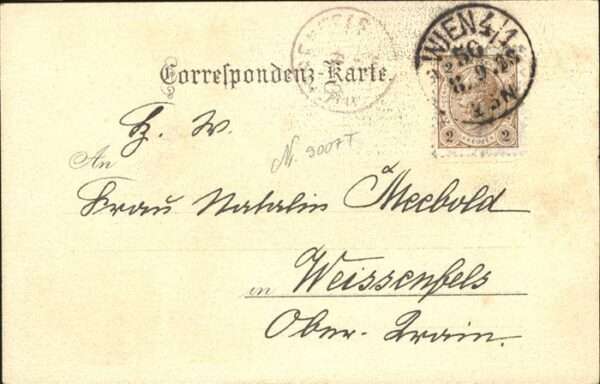 Wien Rathaus – Bild 2