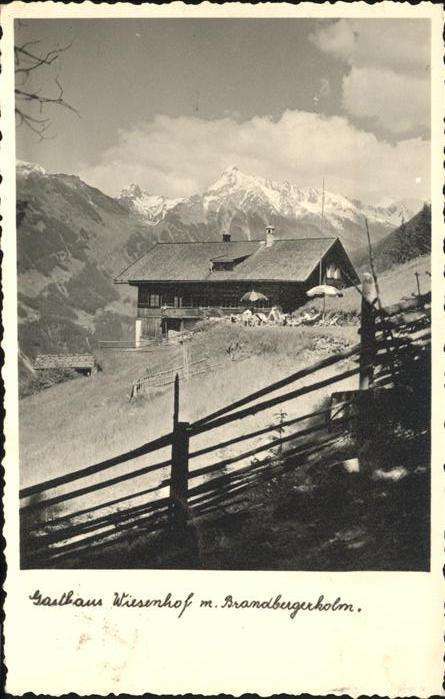 Brandbergerkolm