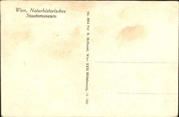 Wien Staatsmuseum – Bild 2