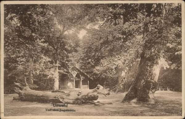 Babylon Urwald