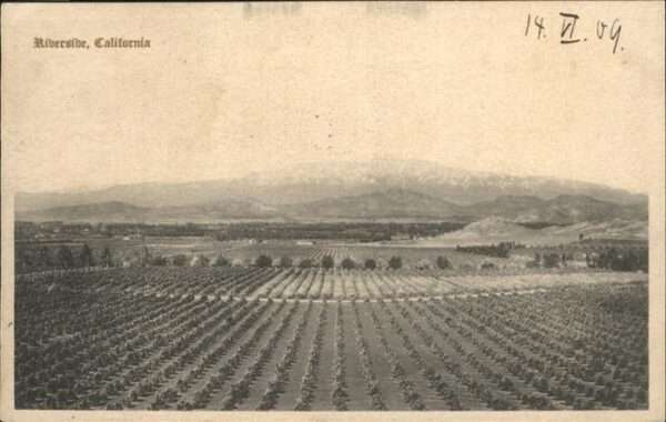 Riverside California Panorama