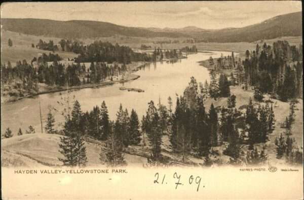 Yellowstone National Park Hayden Valley