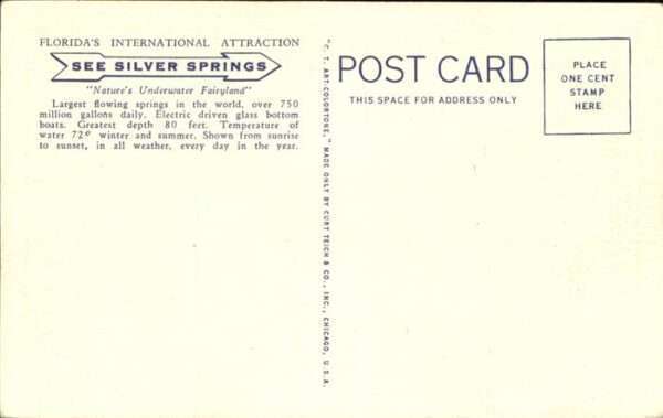 Silver Springs Florida Airplane View – Bild 2