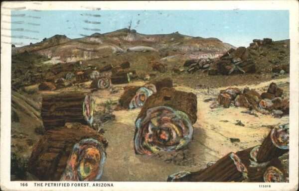 Petrified Forest Natl Pk