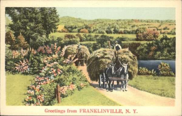 Franklinville New York Pferdefuhrwerke