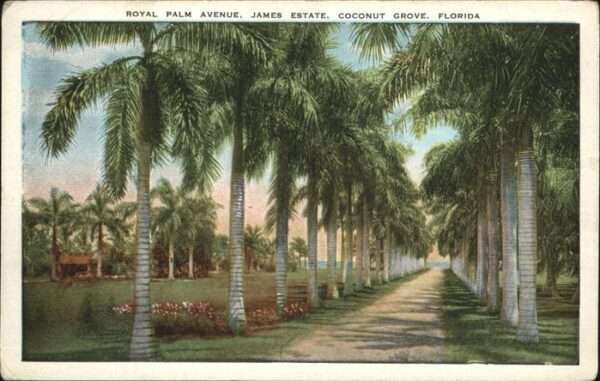 Coconut Grove Florida James Estate
Royal Palm Avenue
