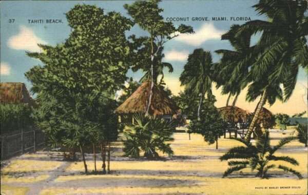 Miami Florida Tahiti Beach Coconut Grove