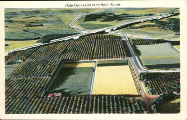 Palm Springs Date Groves Coachilla Valley