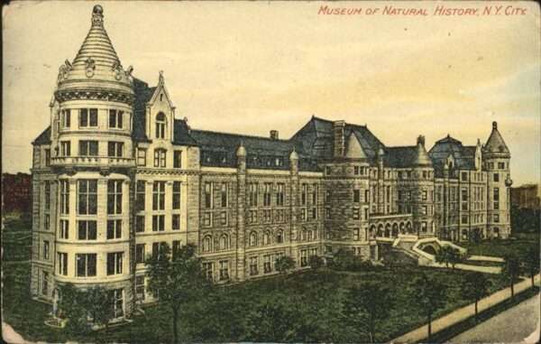 New York City Museum of Natural History