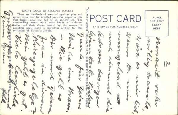 Petrifield Forest Arizona Drift Logs – Bild 2