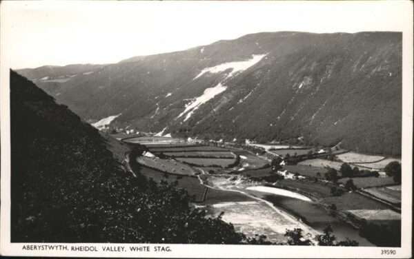 Aberystwyth Rheidol Valley White Stag