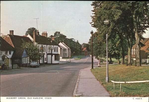 Harlow Mulberry Green