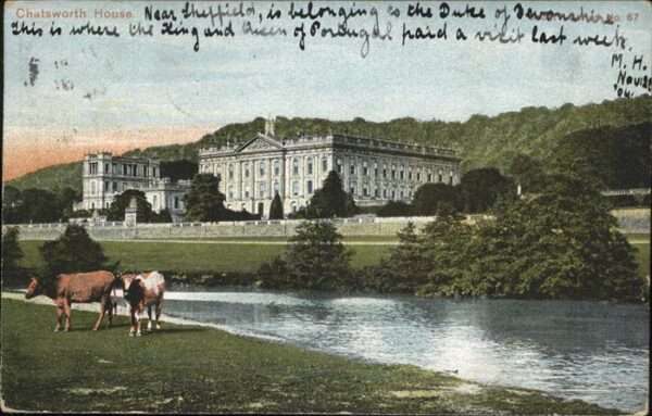Chatsworth House Kühe