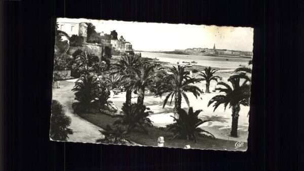 Dinard 35 la Palmerale
