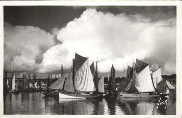 Concarneau Finistere Groupe des thonrniers