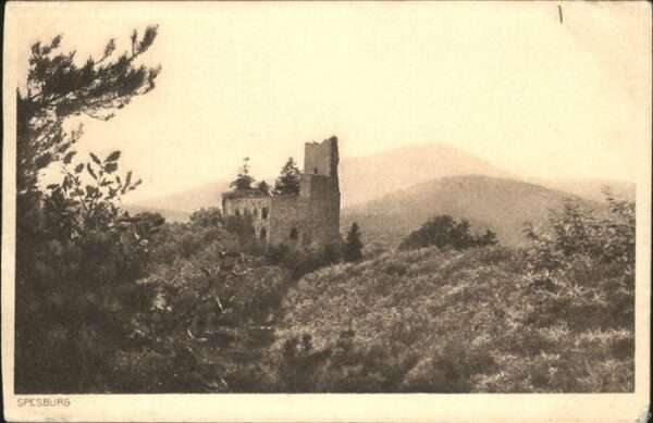 Andlau Chateau de Spesbourg