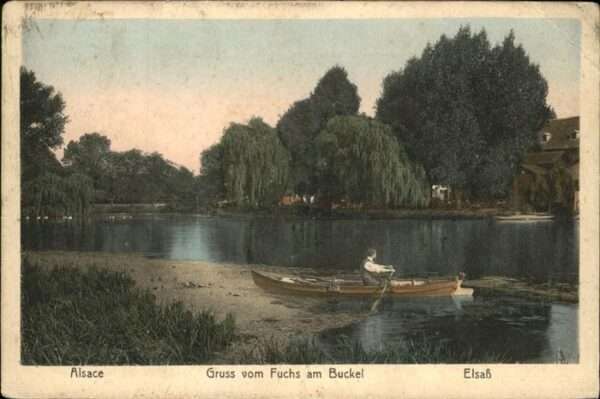 Fuchs Buckel Ruderer