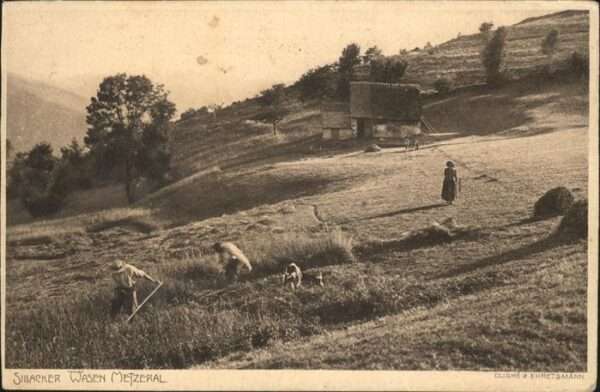 Metzeral Haut Rhin Sillacker Wasen