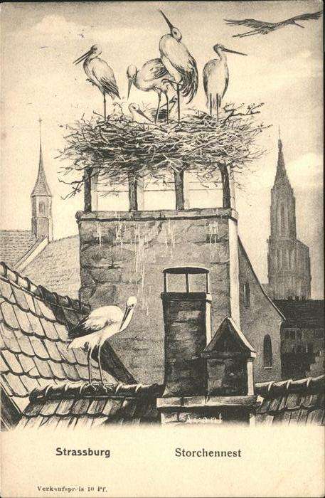 Strasbourg Alsace Storchennest
