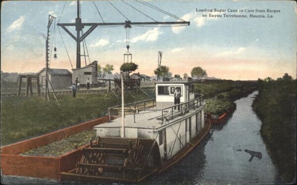 Houma Schiff