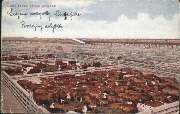 Chicago Heights Union Stock Yards