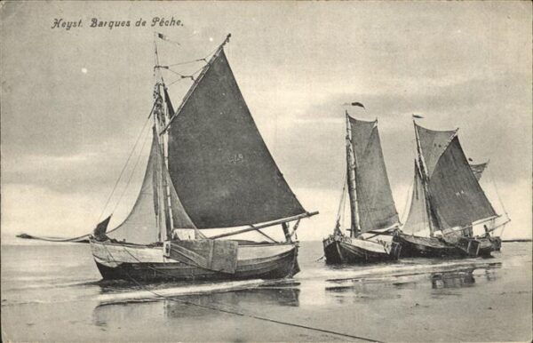 Segelschiffe Heyst Barques de Peche