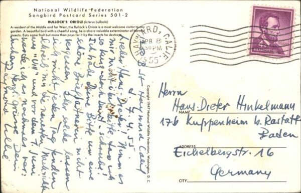 Voegel – Bild 2
