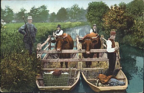 Tiere Viehtransport Spreewald