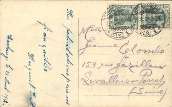 Trachten Rosen – Bild 2