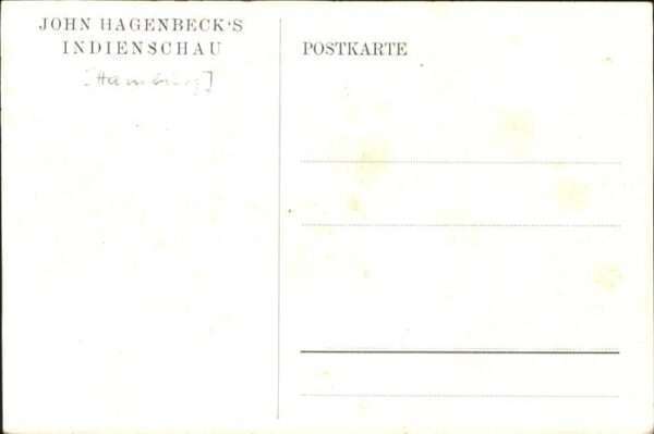 Elefant Indienschau – Bild 2