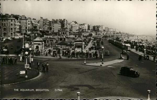 Brighton East Sussex Aquarium